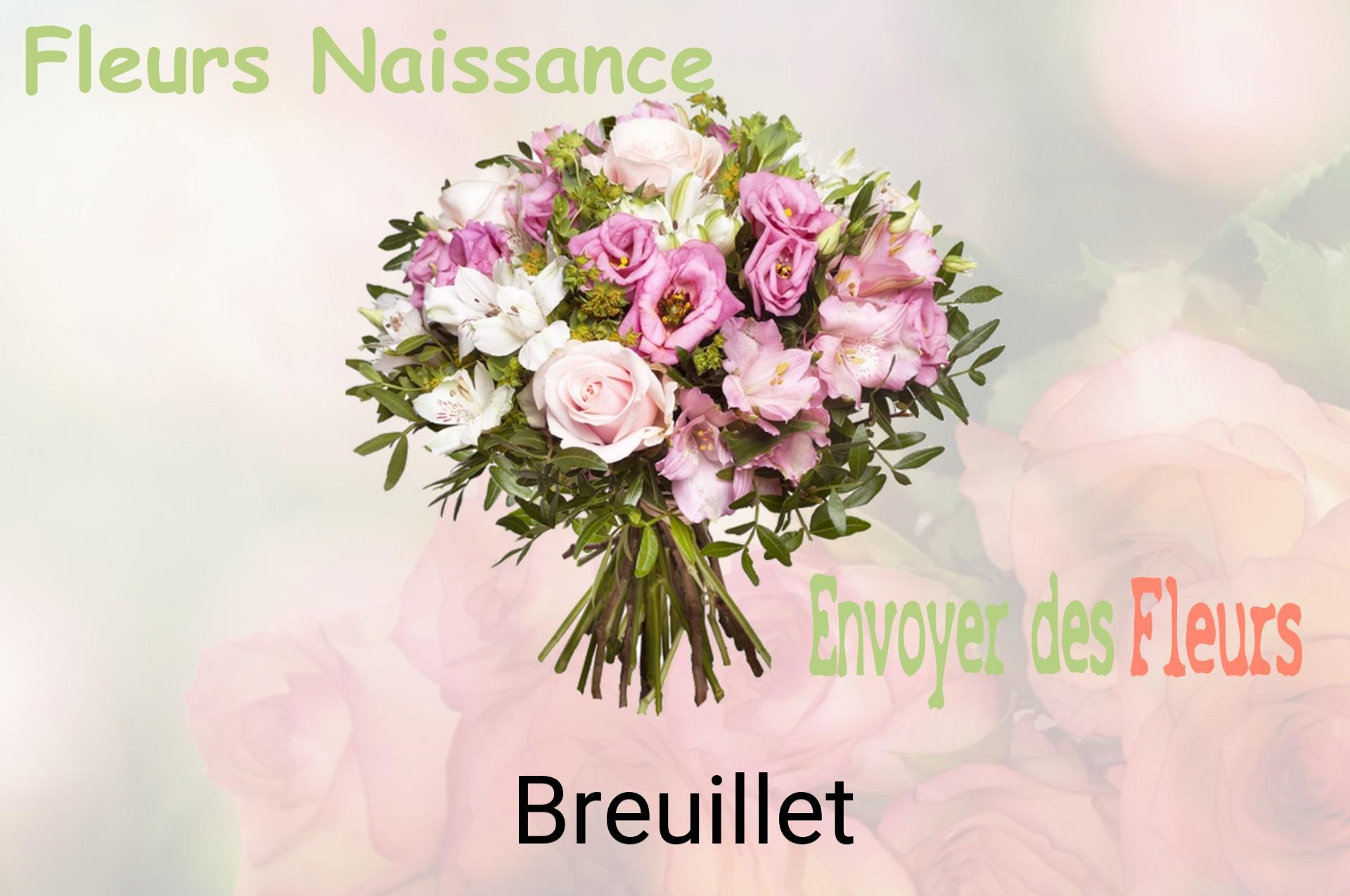 Bouquet de fleurs de naissance livré à Breuillet